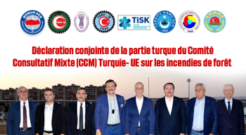 Déclaration conjointe de la partie turque du Comité Consultatif Mixte (CCM) Turquie- UE sur les incendies de forêt